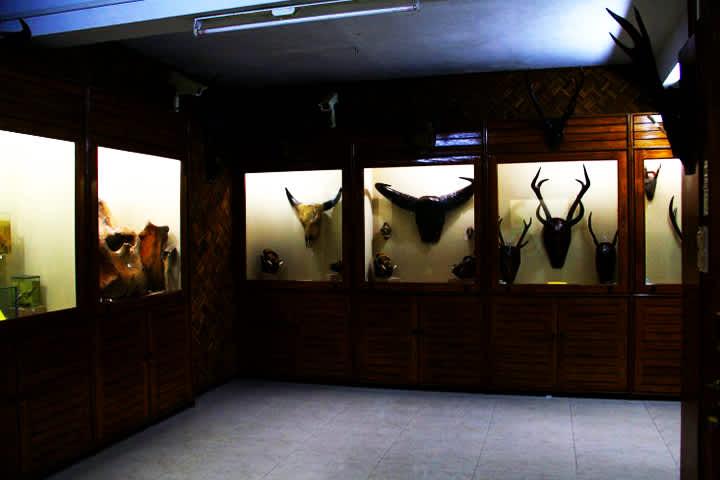 Mizoram State Museum